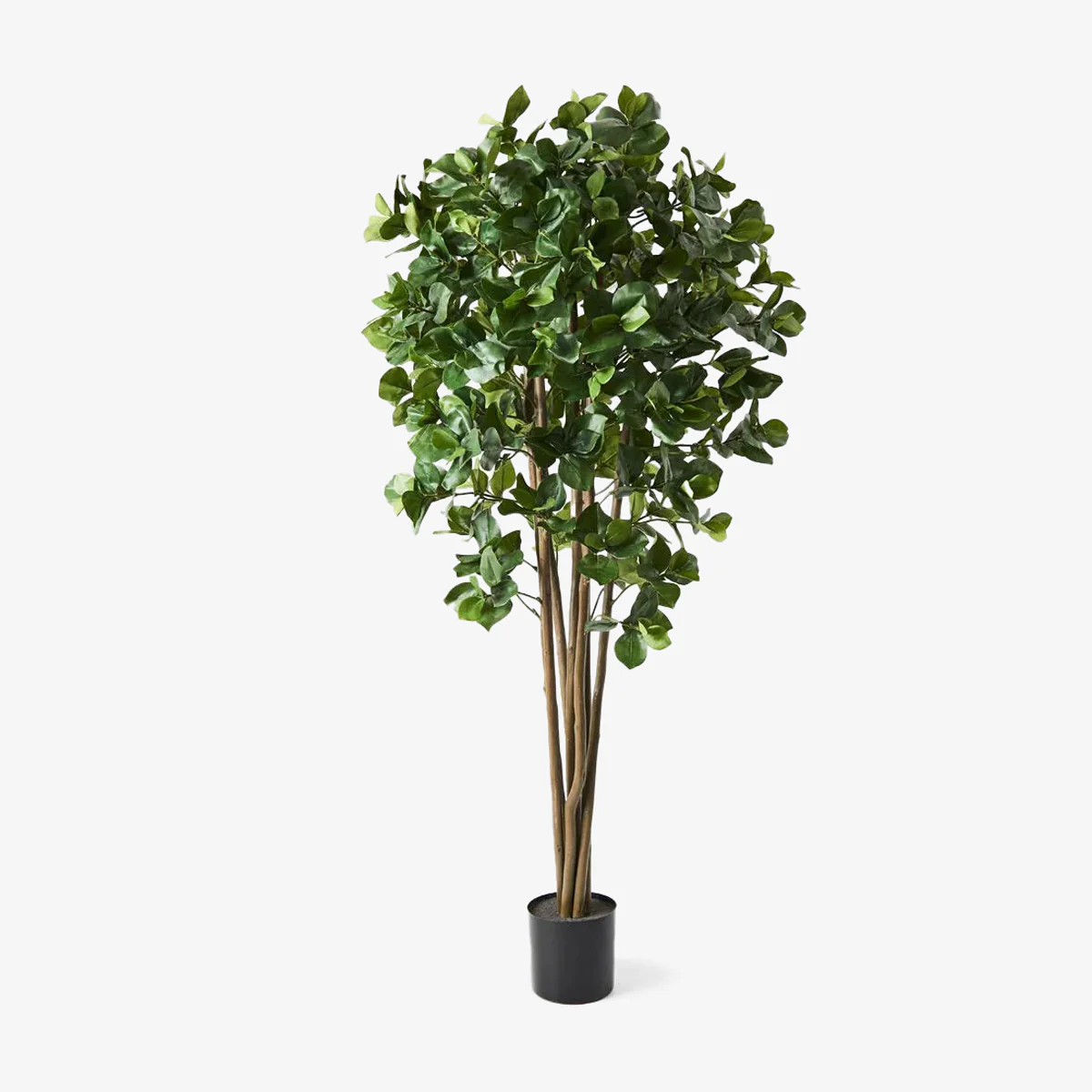 Homewares